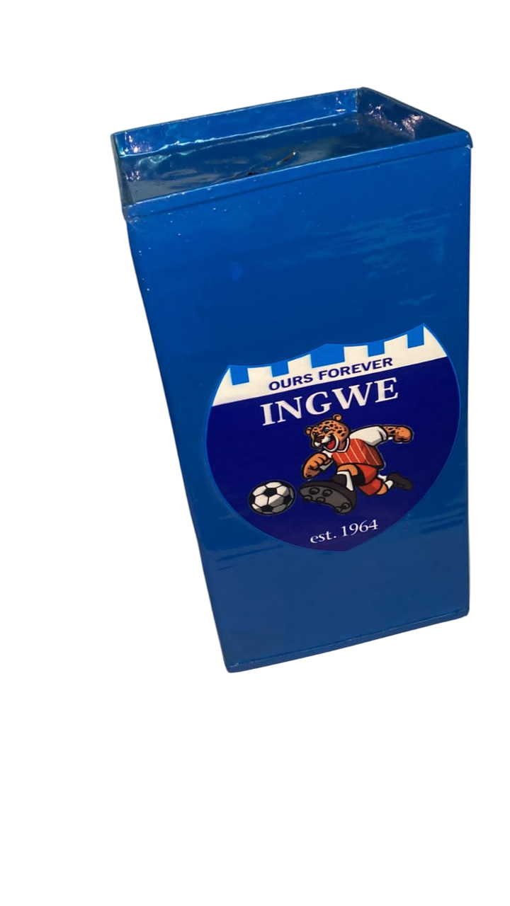 Football Fan Favorite(INGWE) Inspired Handmade Tin Home Bank ,Piggy Bank Savings Box