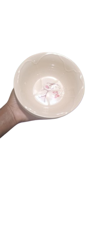 Melamine soup bowls set