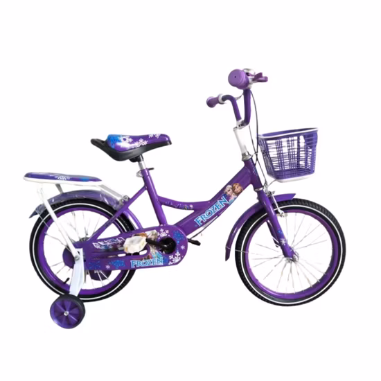 Kids Bicycle– Steel Frame Bike with Basket, Rear Seat, Mudguards, Training Wheels & Safety Chain Cover – boys and Girls' Bike