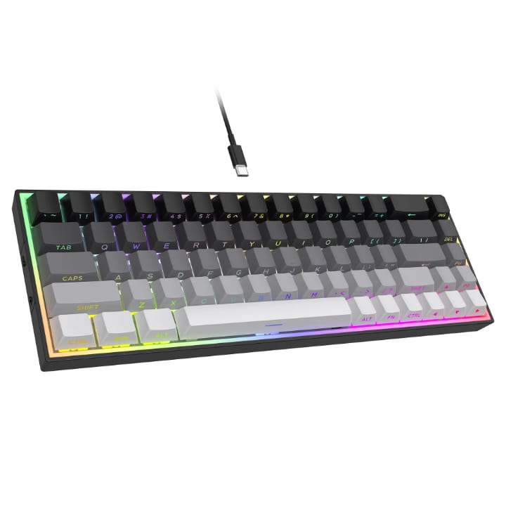 Side Printed PBT Keycaps Hot Swappable 68 Keys Gaming Keyboard 65% Custom Gateron Switch Mechanical Keyboard for Gamers