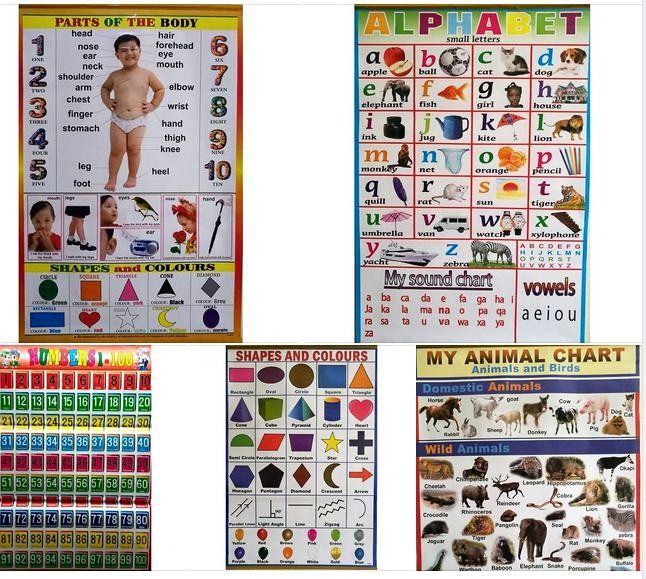 CBC Educational Charts – Interactive Learning for Young Learners