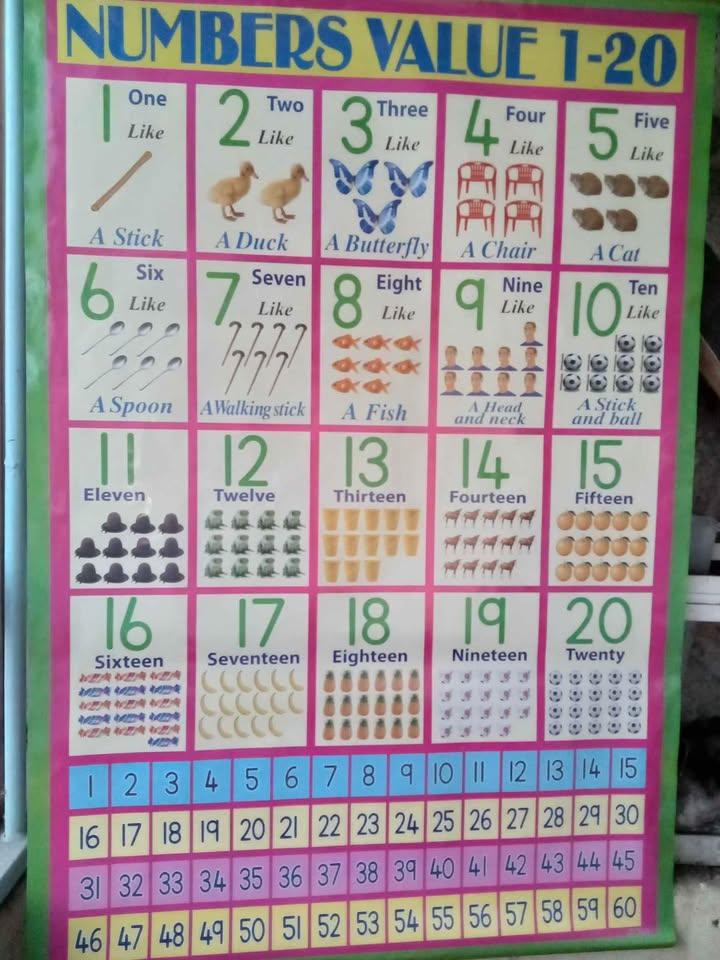CBC Educational Charts – Interactive Learning for Young Learners