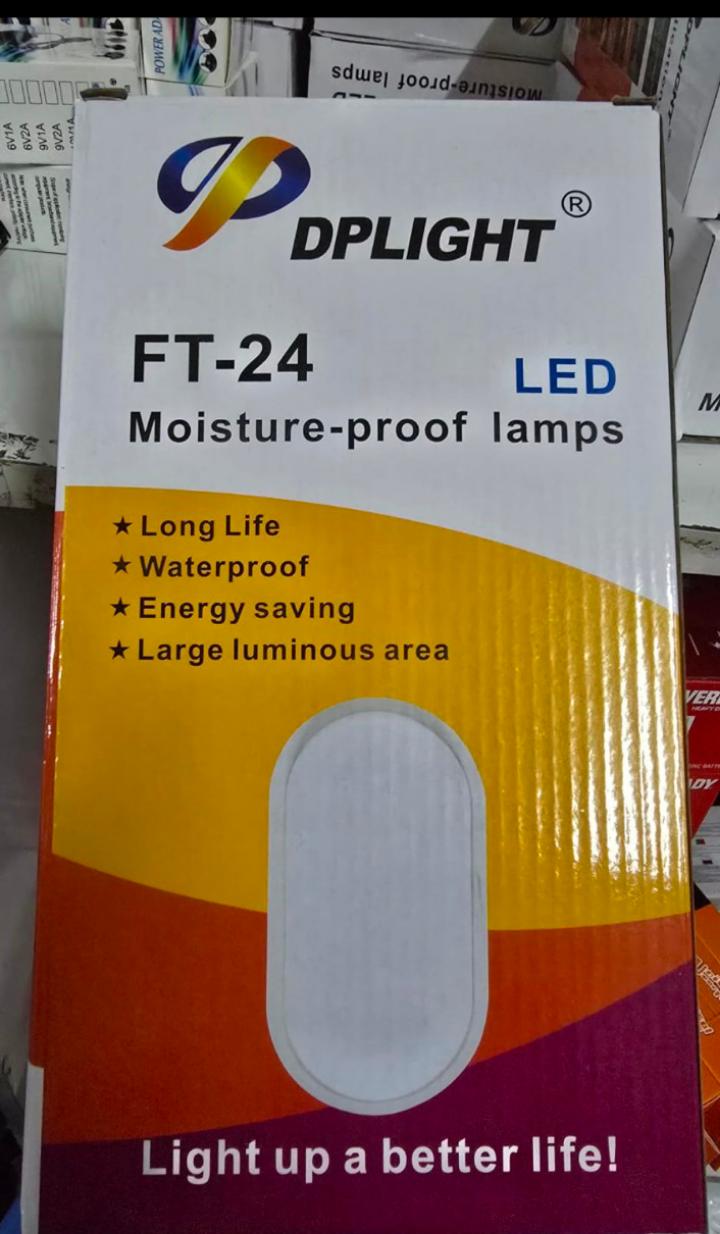 LED Flush Mount Ceiling Light Outdoor Wall Light Oval Lighting (24w)