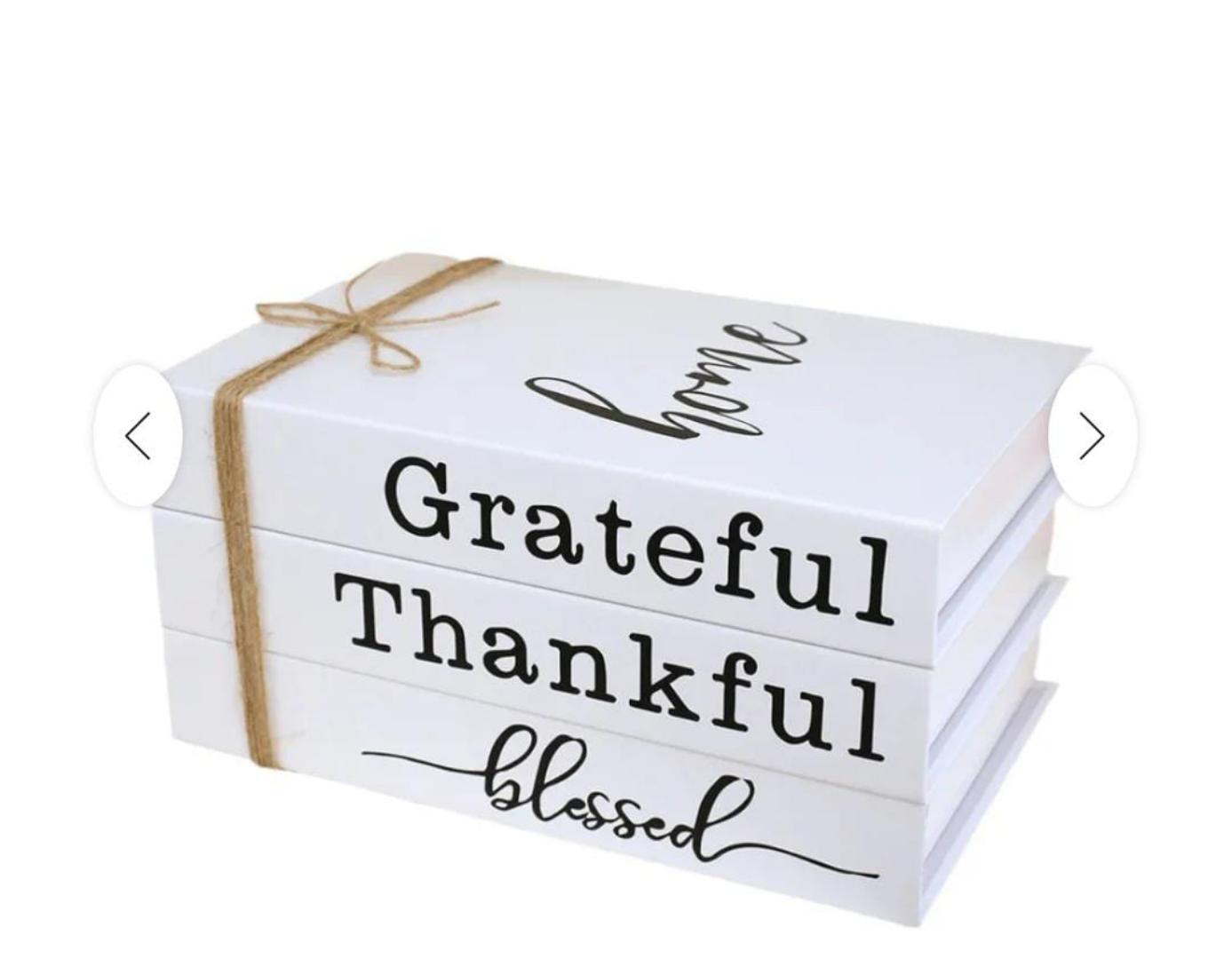 Decor books a set of 3