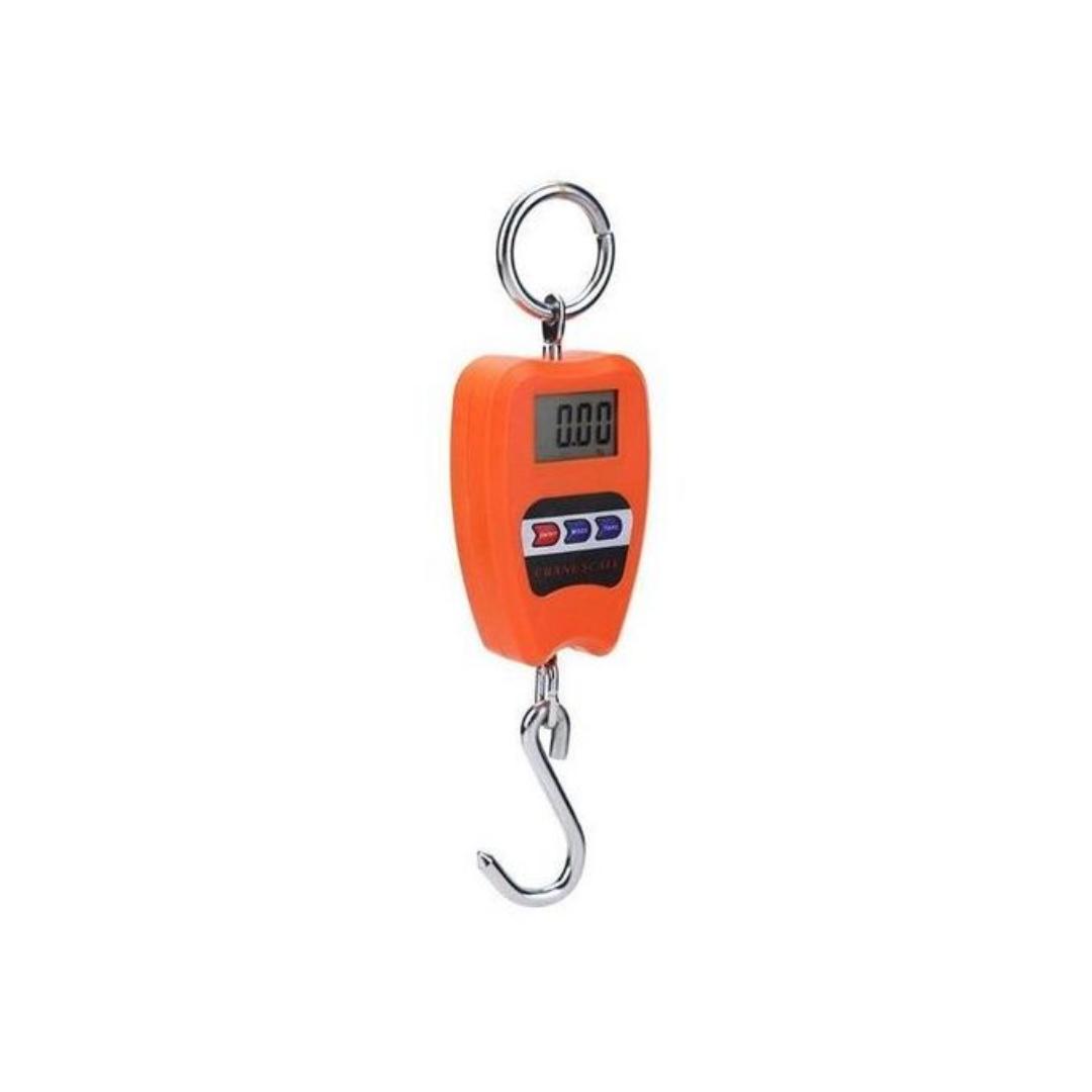 200kg mini crane electronic weighing hanging scale