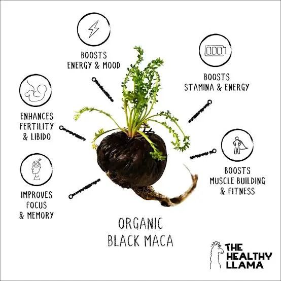 Black Maca Root Powder Energy Booster And Stamina, Improves Libido