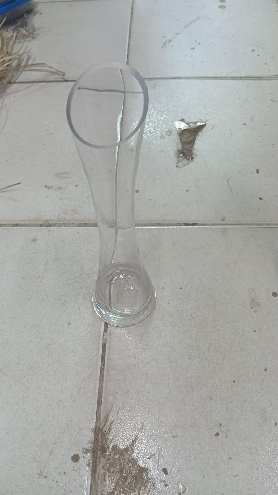 Glass Vase Slim Neck Crystal Clear