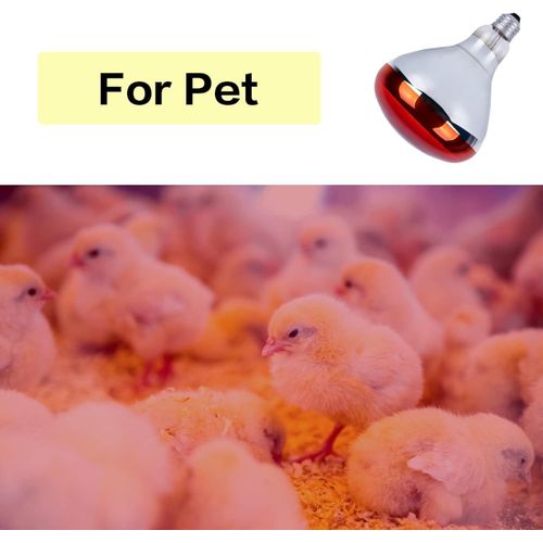 Red Infrared chicken bulb, Heat Lamp for Chickens Coop Brooder and Reptile Heat Bulb 220 Volts Infrared Red Light