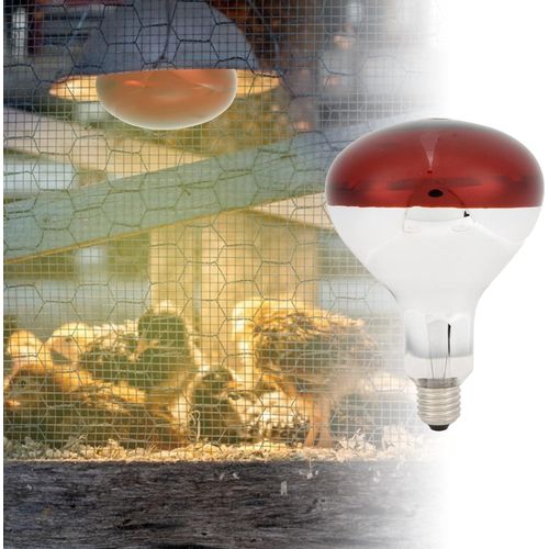 Red Infrared chicken bulb, Heat Lamp for Chickens Coop Brooder and Reptile Heat Bulb 220 Volts Infrared Red Light