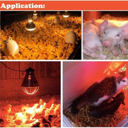 Red Infrared chicken bulb, Heat Lamp for Chickens Coop Brooder and Reptile Heat Bulb 220 Volts Infrared Red Light