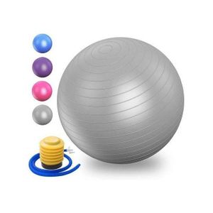 Body Sculpture 30"(85cm) Anti-burst Yoga/Gym Ball
