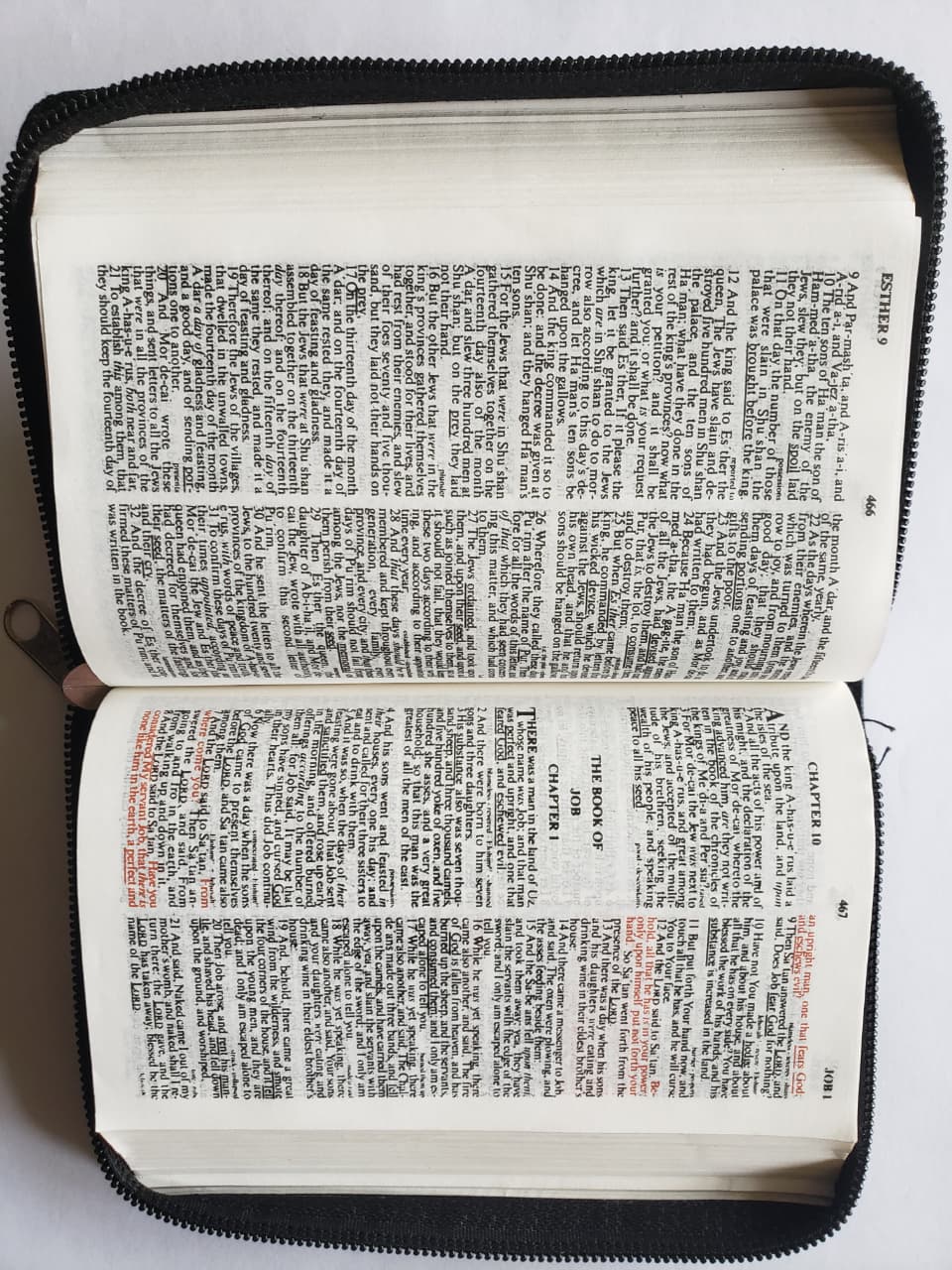 HOLY BIBLE King James Version(KJV) Easy Reading Edition(Pocket-sized).