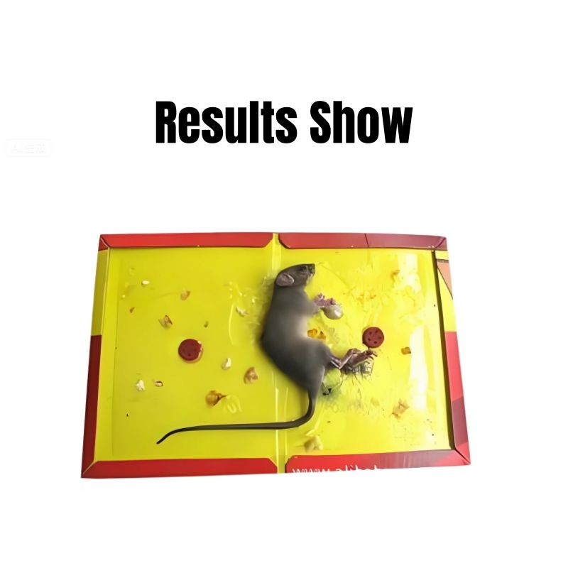 5pcs Sticky Pad for Rat Glue Trap for Mice Mouse Glue Board No-Scape Trap Strong Glue Mouse Traps Extra Sticky Board Rodent Catcher Kitchen Warehouse Mouse Glue Board Deratization Rat Destruction