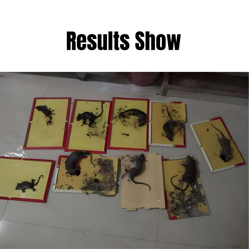 5pcs Sticky Pad for Rat Glue Trap for Mice Mouse Glue Board No-Scape Trap Strong Glue Mouse Traps Extra Sticky Board Rodent Catcher Kitchen Warehouse Mouse Glue Board Deratization Rat Destruction