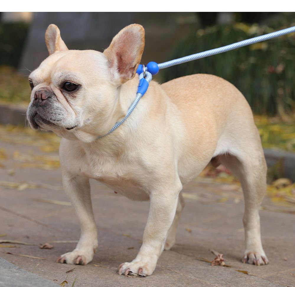 Competition-level p-leash, dog leash, small puppy, explosion-proof rush walking dog leash, medium and large dog training, dog leash, small dog p-chain