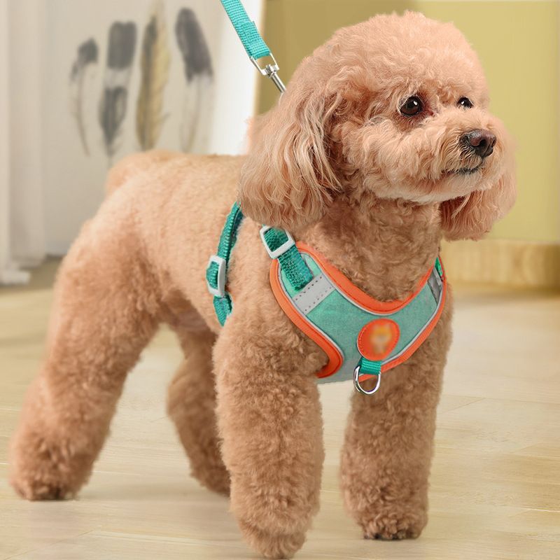 Vest style dog leash, medium size small dog, teddy bichon pomeranian, chest harness, puppy walking dog leash, dog leash
