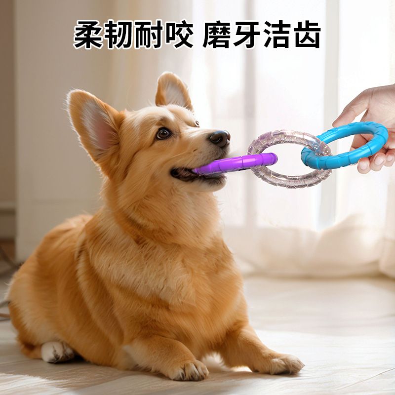 Dog toys, pet bite resistant, teeth cleaning, teeth grinding, stuffiness relieving, tension ring, teddy bear, golden retriever, small dog training, interactive supplies