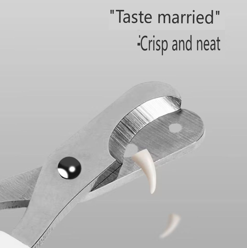Special nail clippers for cats and dogs, round hole nail clippers, stainless steel pet small blind scissors, cat nail clippers, pet supplies