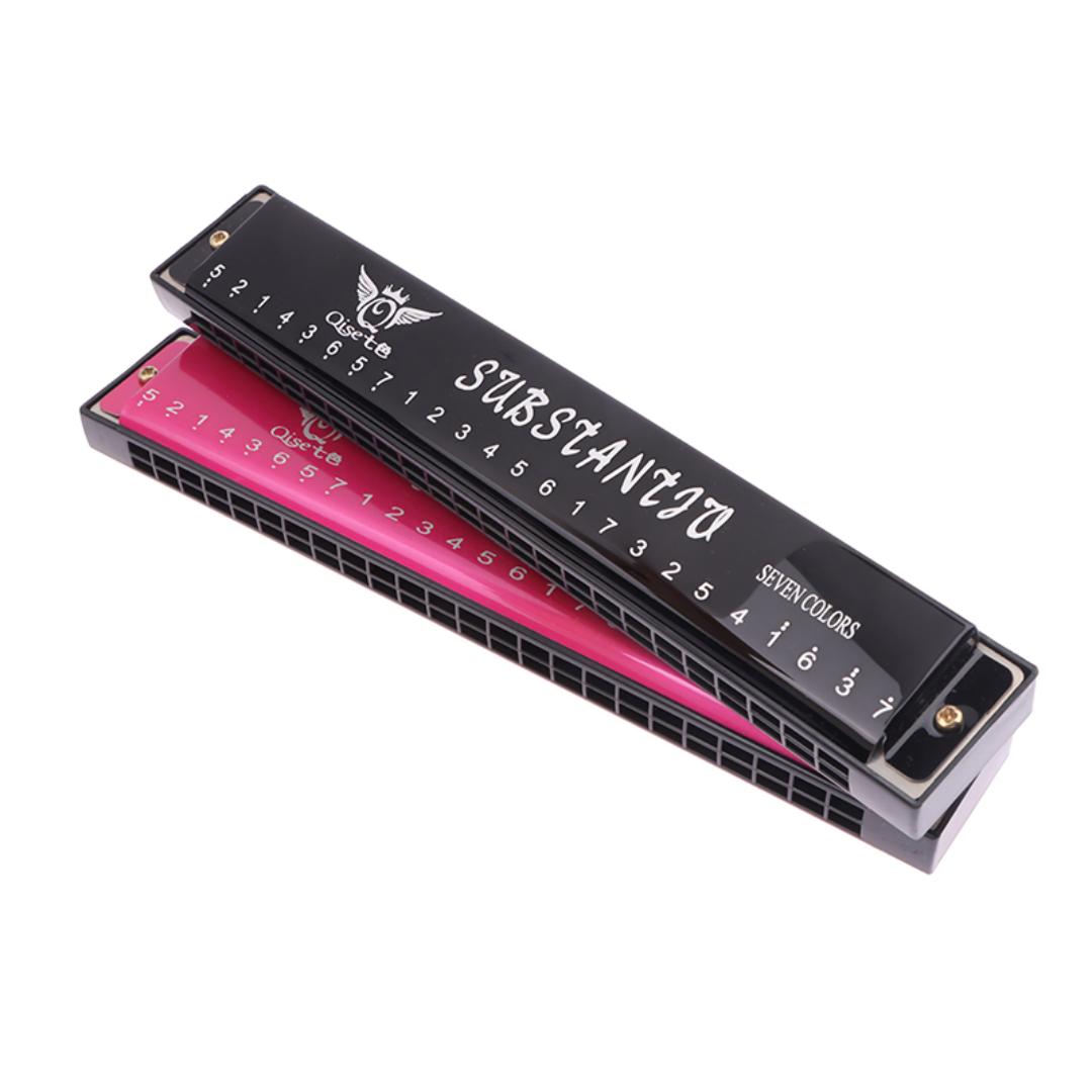 24 Hole Professional Harmonica