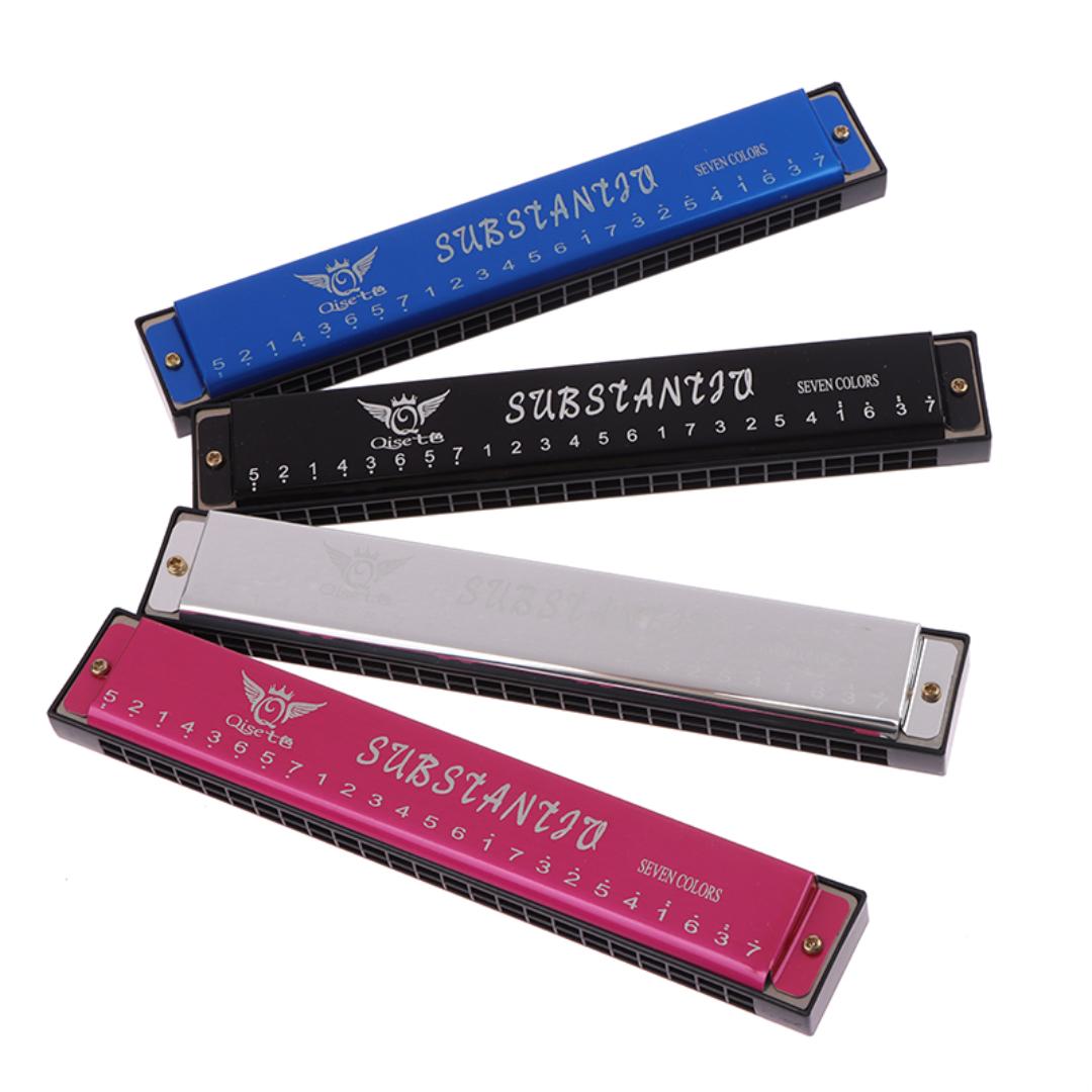 24 Hole Professional Harmonica