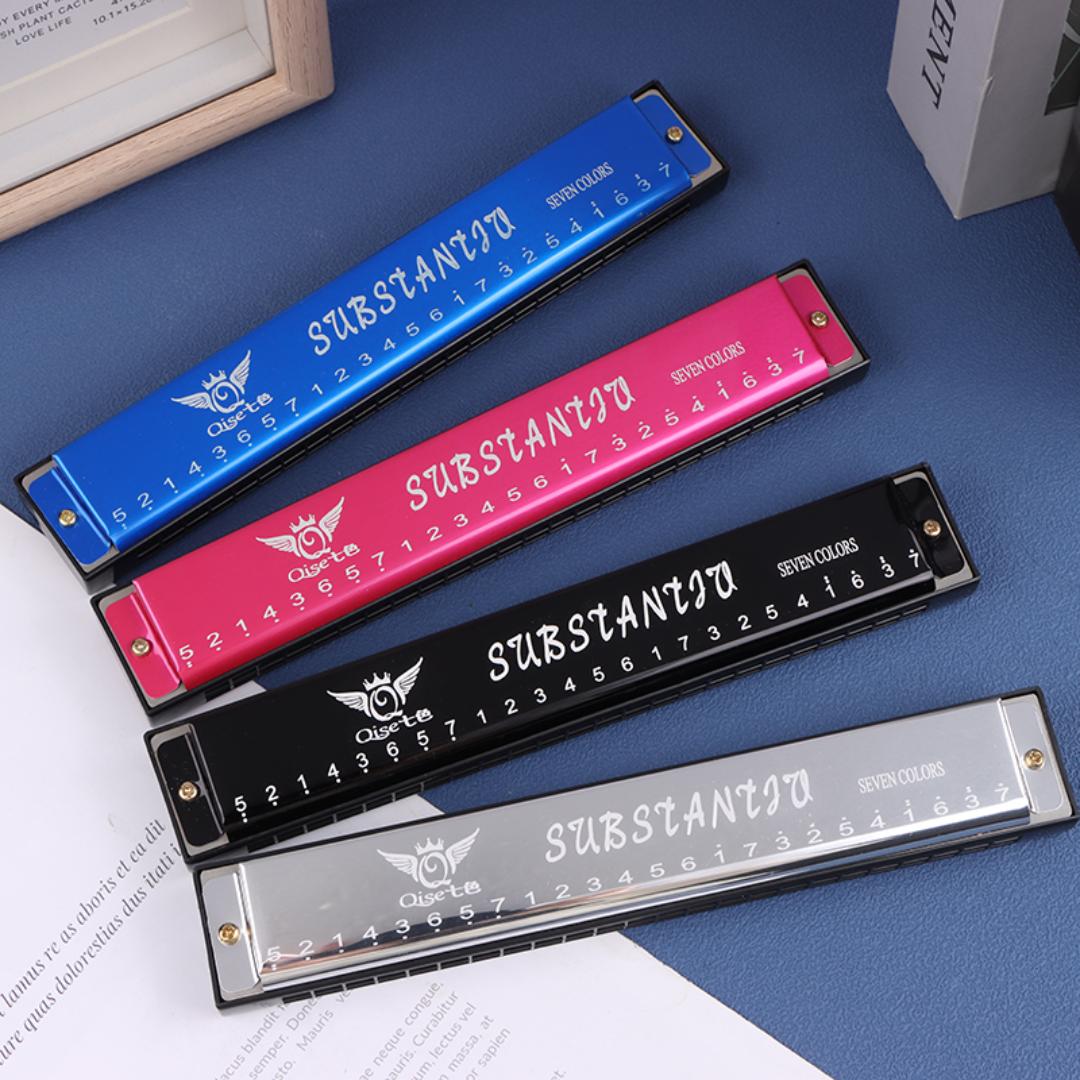 24 Hole Professional Harmonica