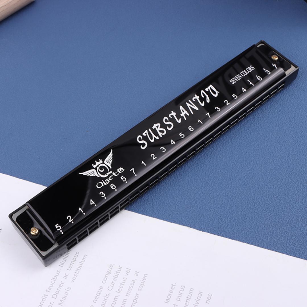 24 Hole Professional Harmonica