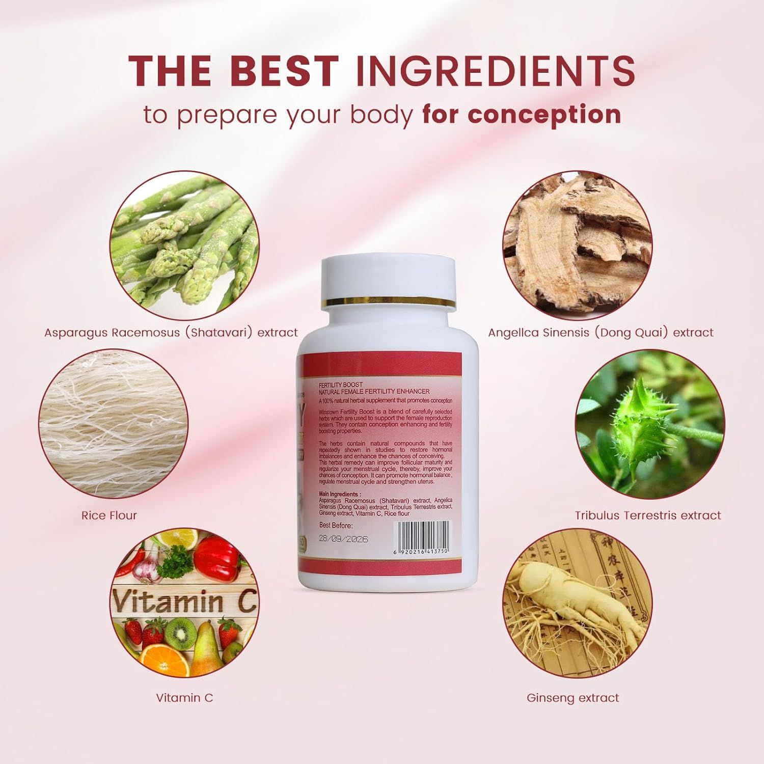 Wins Town Fertility Tablets for Women – Female Prenatal Vitamin Supplements with Essential Nutrients to Support Ovulation, Hormonal Balance, Conception, Reproductive Health and Prenatal Wellness