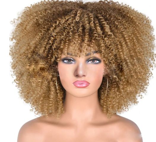Health & Beauty > Hair > Wigs > Synthetic Wigs > Synthetic Lace Wigs Afro Kinky Curly Wig - Synthetic Heat Resistant Hairpiece for Women