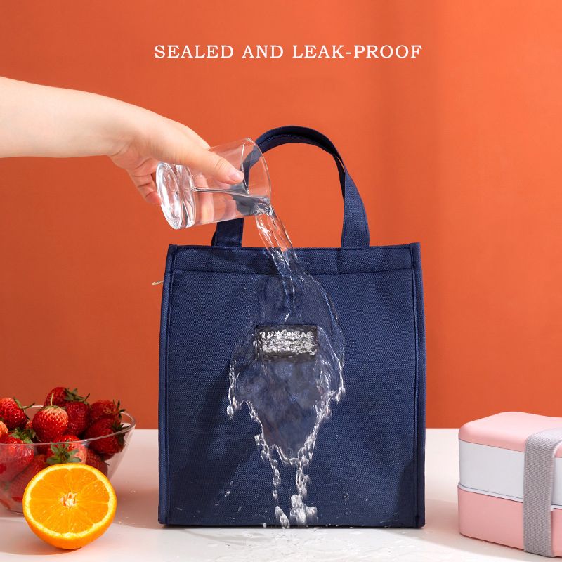 Fashion Insulated Lunch Bags For Men Women Bento Box Organizer Waterproof Camping Food Drink Cooler Bag &