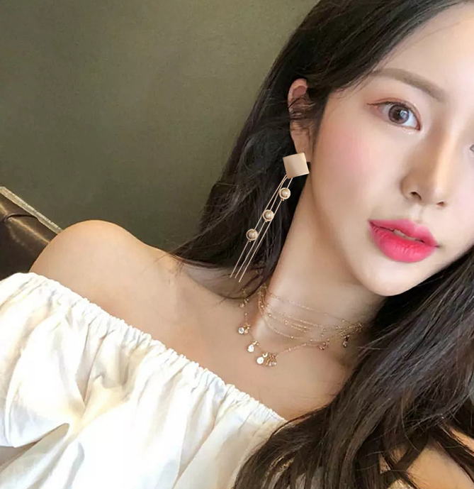 Long style tassel 925 silver needle Earrings temperament fashion women Earrings net red personality A-1352