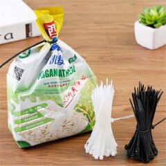 100 strips large 2.5*200mm self-locking nylon cable ties bundled cable management line wire storage finishing tie wire harness C-89-9