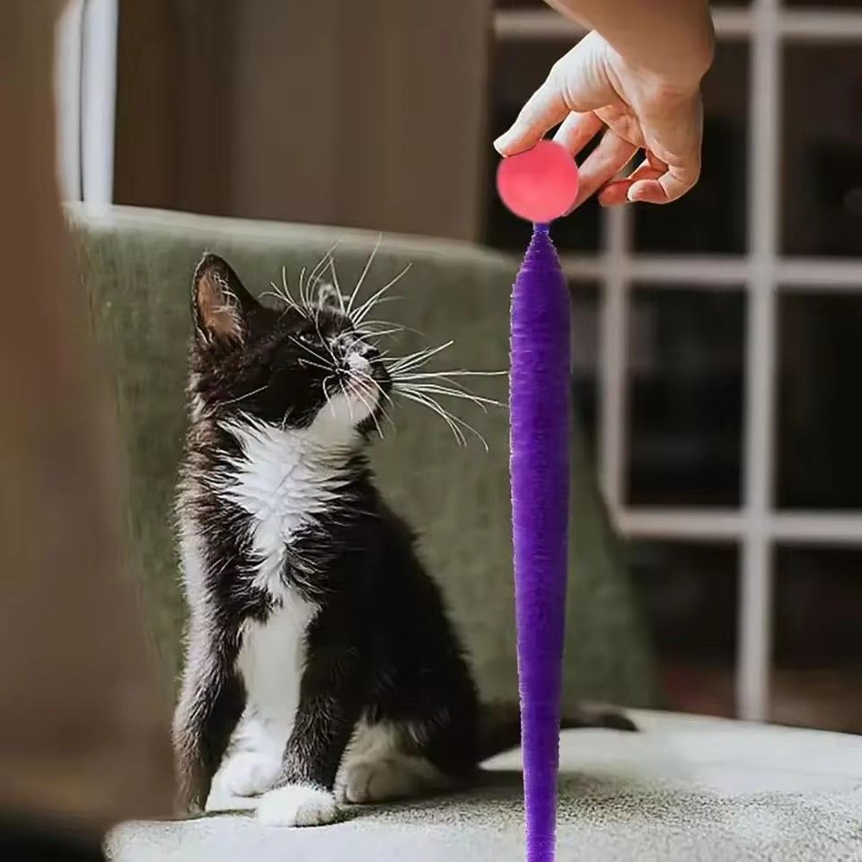 Cat interactive toys Tickle Cat Colorful bouncing ball Pet supplies Puzzle teasing indoor cat worm caterpillar elastic toy