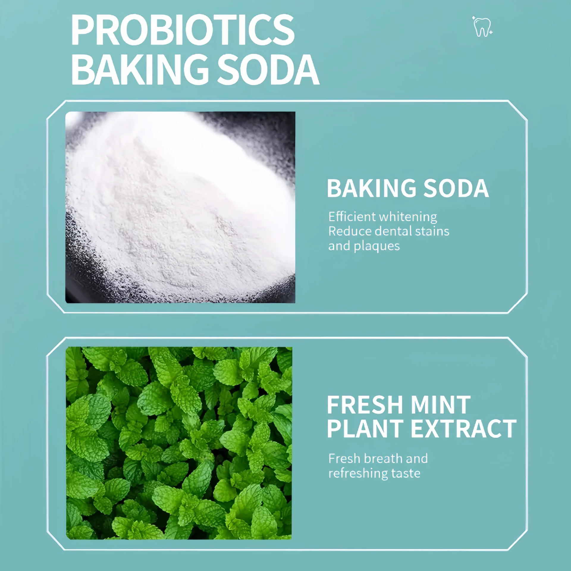 Probiotic Toothpaste,Hydroxyapatite Repair for Oral Care Deeply Clean,Removes Stains,Fresh Breath Keep Mouth Health 100g SP-8