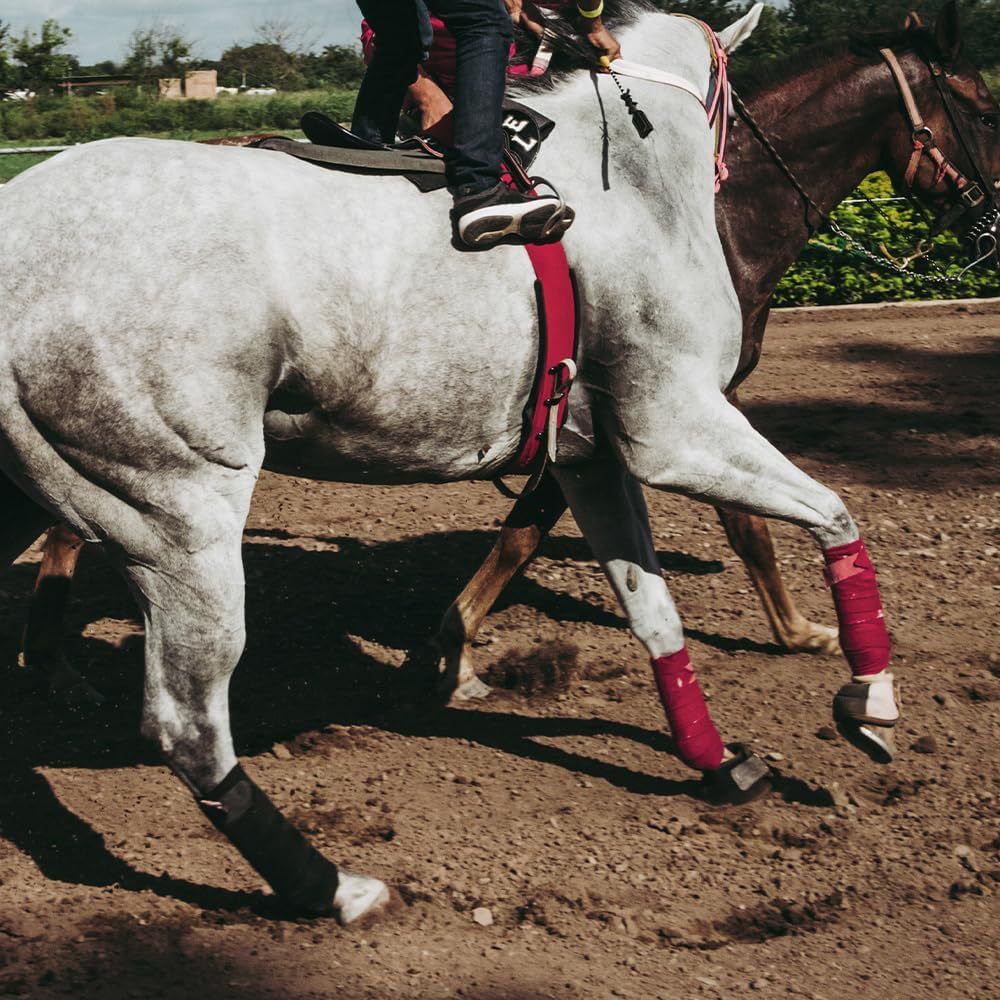 4 Pcs  Soft Flannel Horse Leg Wraps Protect Bandage for Equestrian Riding Racing Accessories Protection Equipment