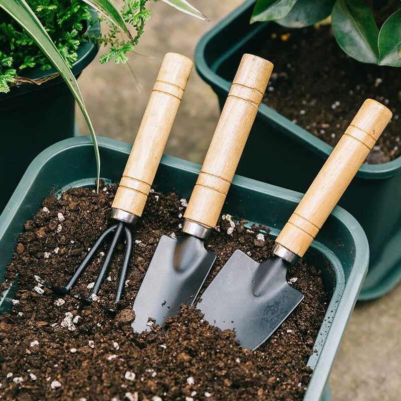3Pcs/Set Mini Garden Tool Set For Garden Plants Flower Pot Cactus Vegetables Digging Weeding Indoor Small Plants Garden Tools C-682