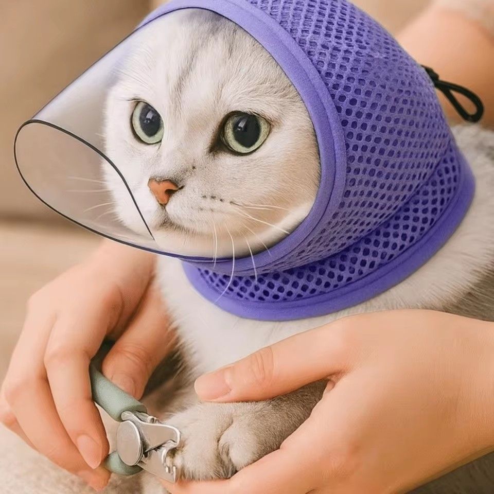 1PC    Adjustable Drawstring Anti Biting Mask Anti Scratch Mesh Breathable Cat Mouth Cover Not Blocking View Anti Stuffiness Cat