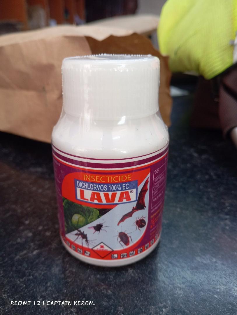 Lava Original Bedbugs & Cockroaches Lava Insecticide-very Effective