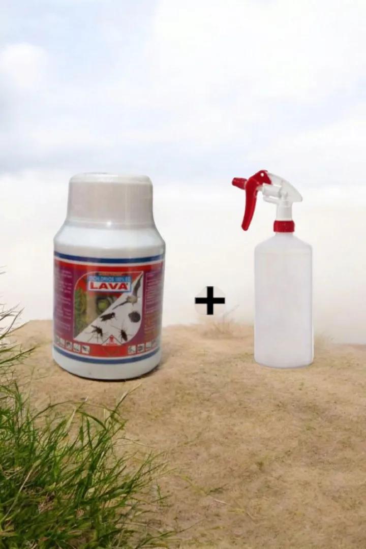Knock down  Lava insectcide and a free pump