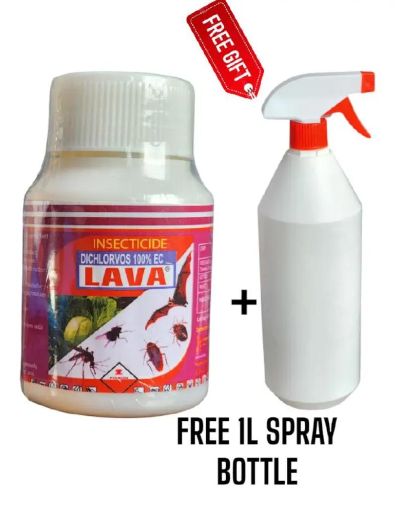 knock down formula Lava Insecticide For Bedbugs & Cockroaches Fumigation + FREE Spray Bottle