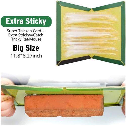 Multipurpose Rat/Mice/Mouse Sticky Glue Board Traps