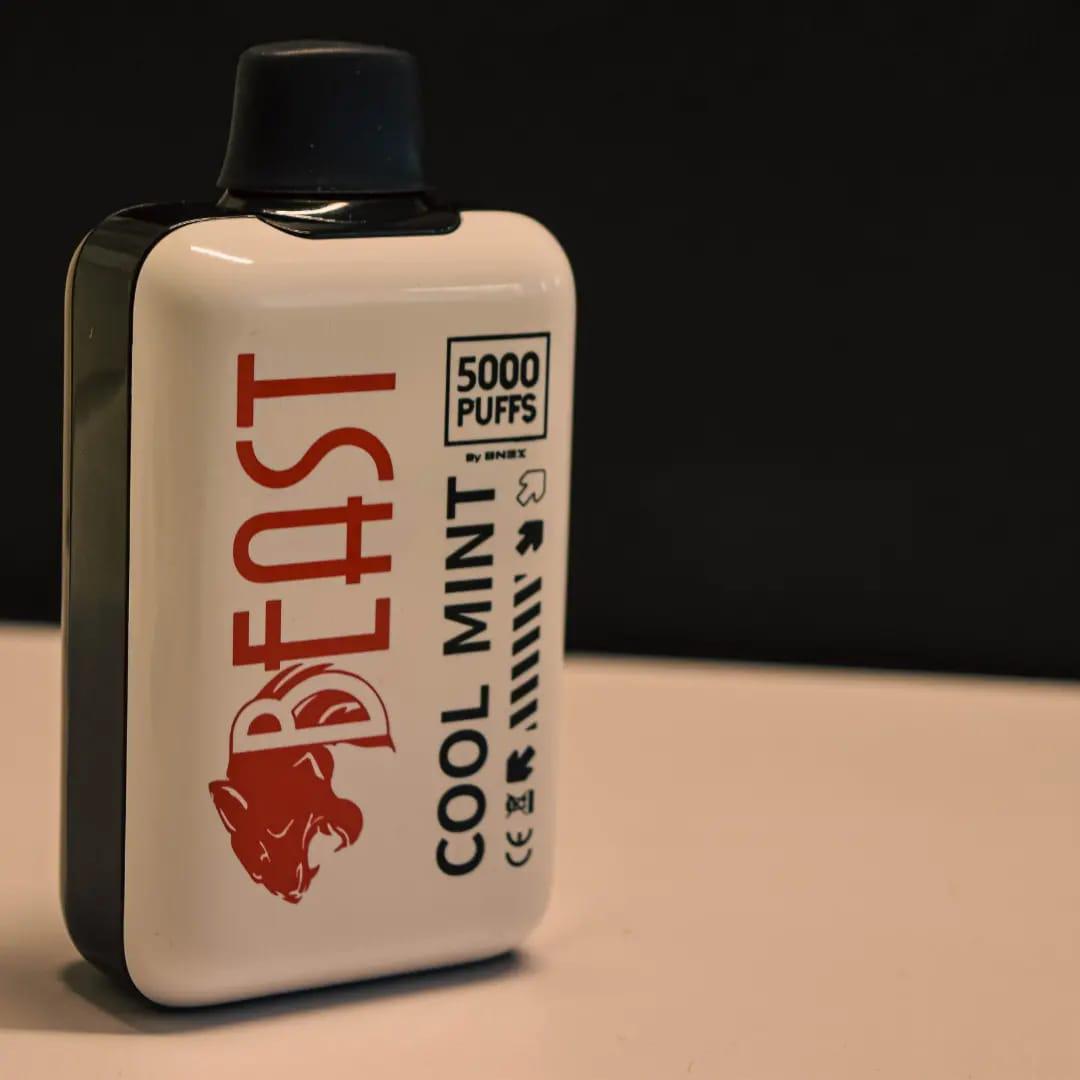 NEW ARRIVAL VAPE PEN 5000PUFFS RECHARGABLE MINT