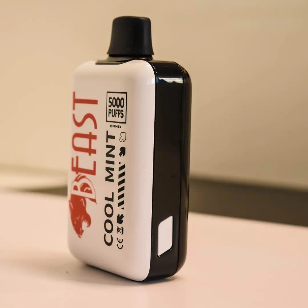 NEW ARRIVAL VAPE PEN 5000PUFFS RECHARGABLE MINT