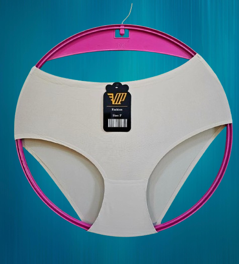 6 Pcs Women Seamless Panties Set Soft Stretch Breathable Ladies Underwear Invisible Comfort Briefs XL Large Medium Free Size Everyday Lingerie