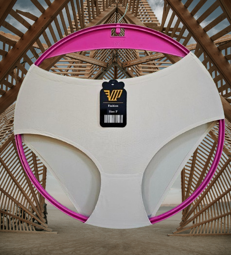 6 Pcs Women Seamless Panties Set Soft Stretch Breathable Ladies Underwear Invisible Comfort Briefs XL Large Medium Free Size Everyday Lingerie