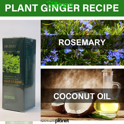 Dess Rosemary Oil Strengthening Hair Serum – 60ml | Stimulates Growth, Reduces Hair Loss, Nourishes Scalp
Dess Rosemary Hair Growth Oil
Dess Hair Serum for Hair Loss
Natural Rosemary Oil for Hair