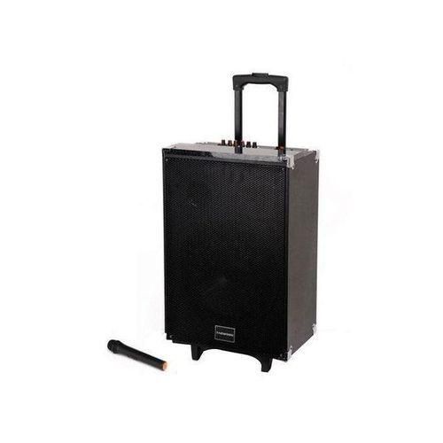 TAGWOOD 15 Inches Outdoor Rechargeable Public Address Speaker With Wireless Microphone , USB Slot , Bluetooth , Memory Card Slot , 9800W , MP3 Player