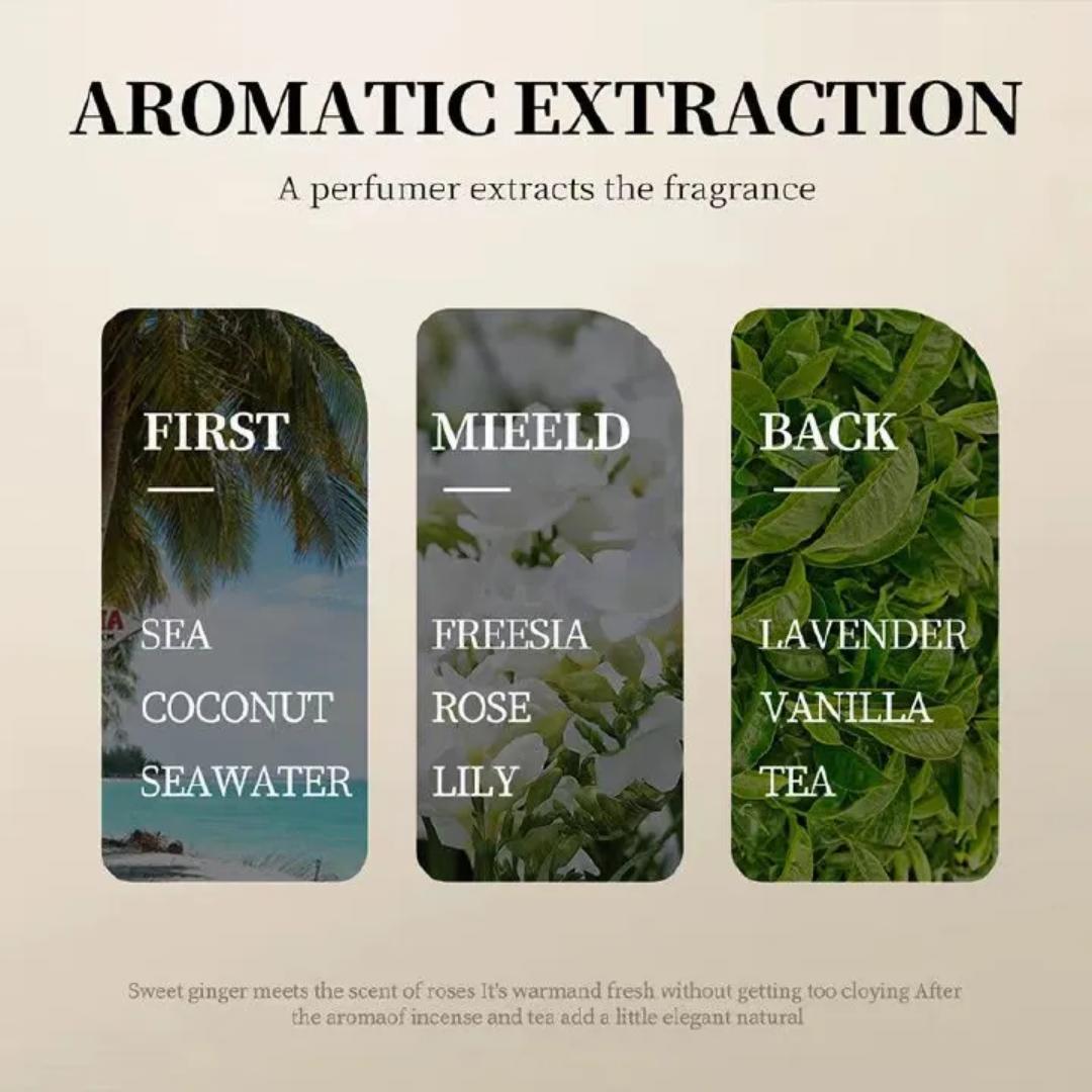 K10 SADOER Coconut Moisturizing Shampoo Moisturizing Amino Acids Anti dandruff Shampoo Coconut Shampoo Emulsion Shampoo