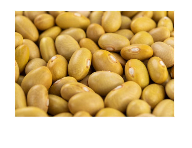 Dried Cereals, Grains & Pulses: Yellow Kidney Beans from Nitrameal, Butterfly & Pearl Packed in 1kg