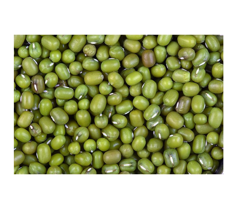 Dried Cereals, Grains & Pulses: Dried Green Grams packed in 1 kg from Nutrameal, Butterfly and Pearl.