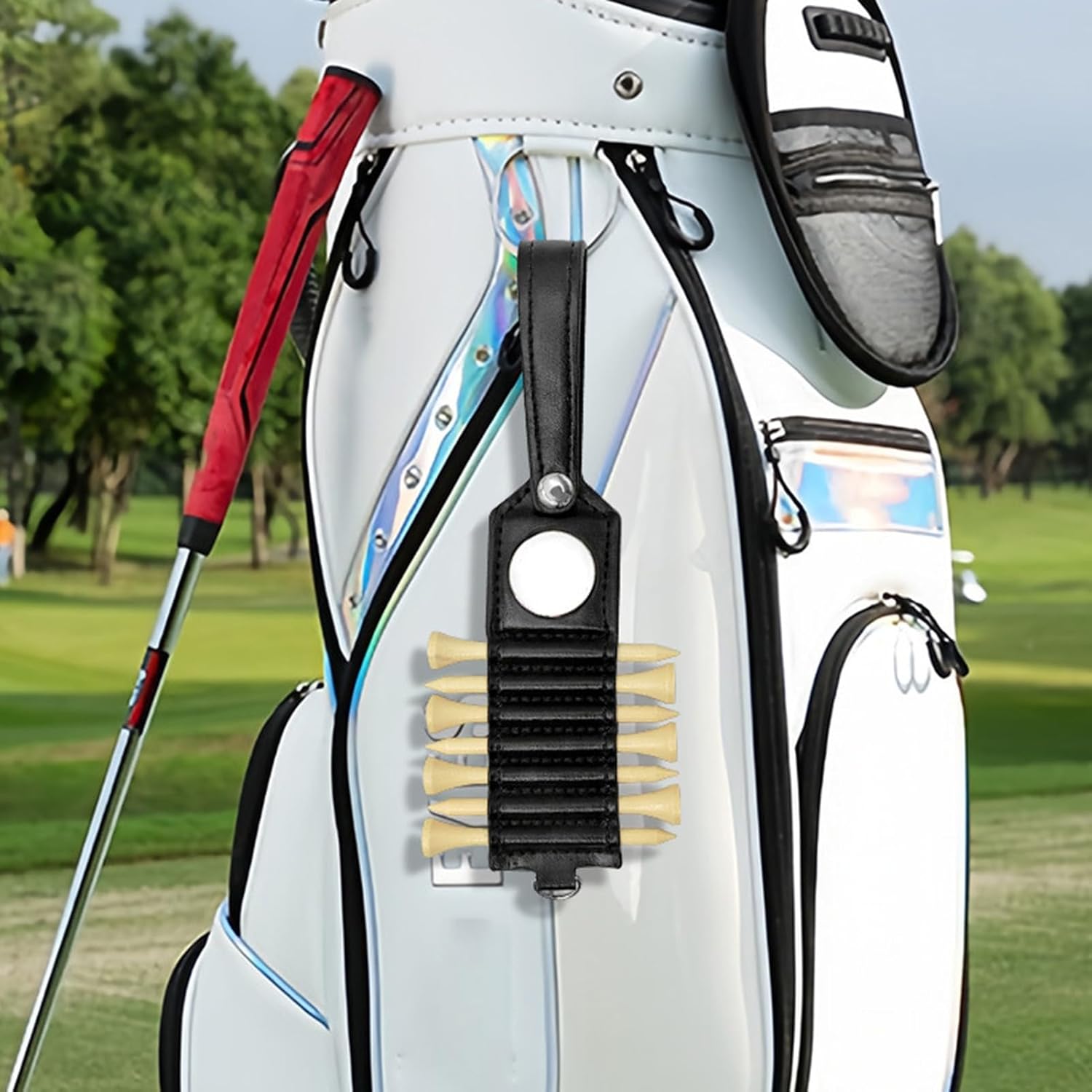 Golf Tee Holder Storage Container,Large Capacity Wear Resistant Lightweight Portable Golf Tees for Golf Club Bag Accessories